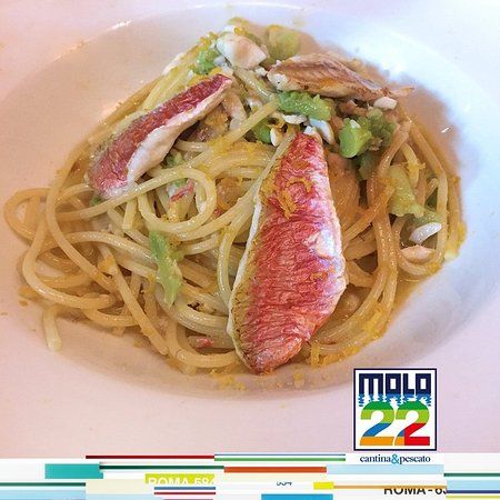 Molo 22