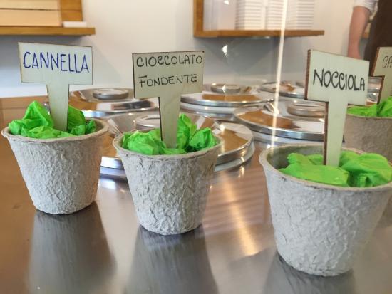 Fattore Gelato
