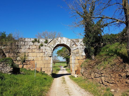 Rovine dell'antica città di Falerii Novi