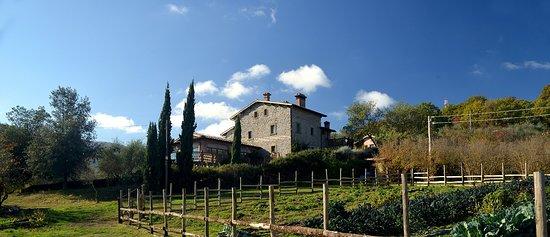 L'orto di Hans