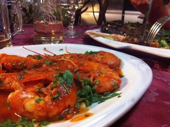 Il Riccio Di Mare