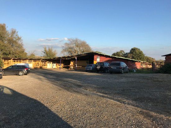 Asd Wild Ranch