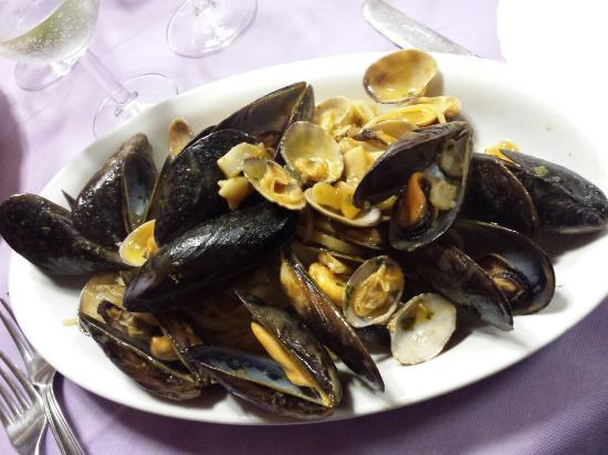 Il Frassinello
