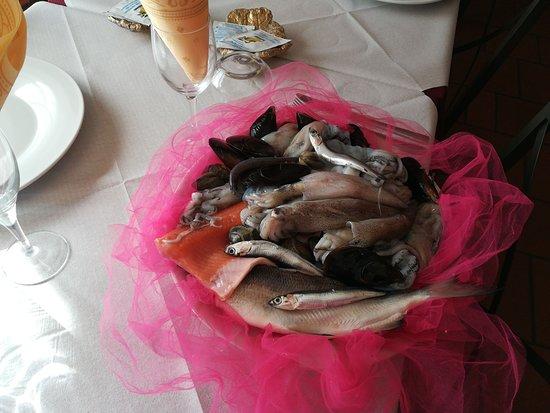 La taverna Delle Forre