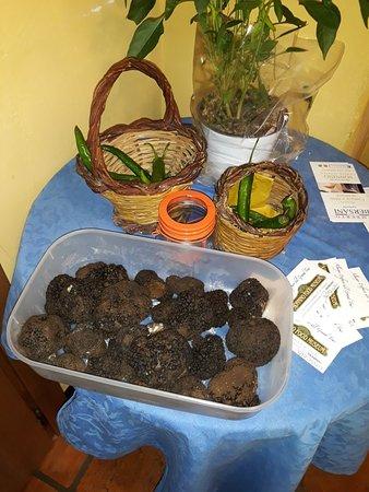 Sonnino Food Museum