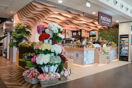 Natoo