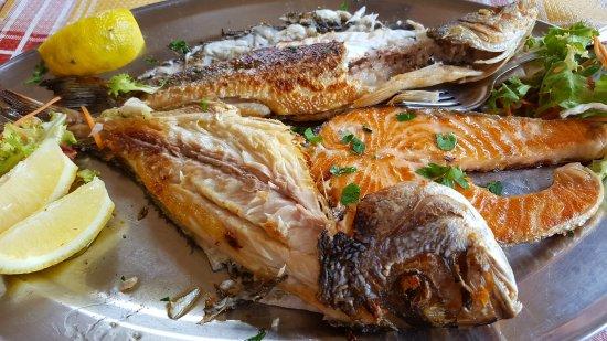 Paparella