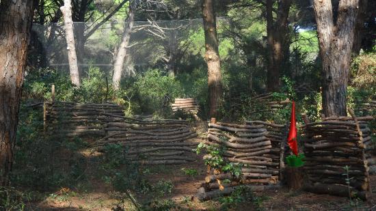 Matrix Paintball