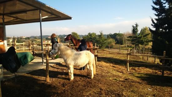 La Collina Storta