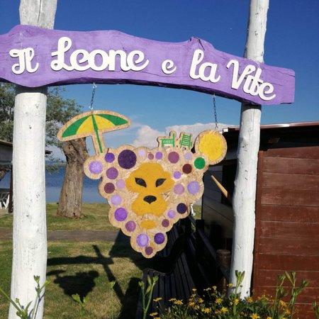 Il Leone e La Vite