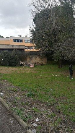Giardino Delle Streghe