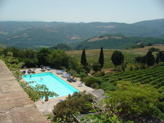 Nunc Est Bibendum Wine Tours Roma