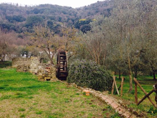 Azienda Il Giardino Di Diana