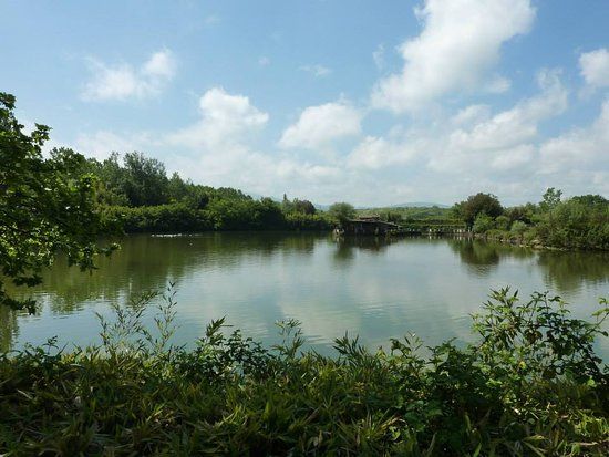 Selva di Paliano