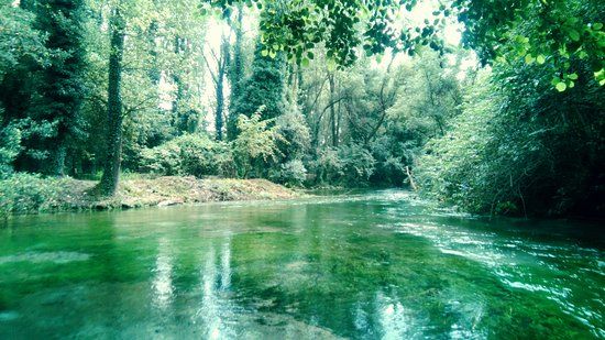 Terme varroniane