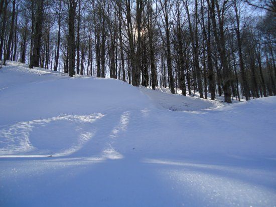 Campo dell'Osso