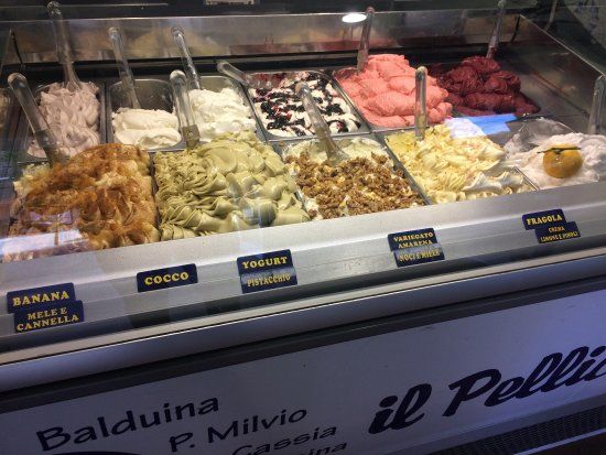 Il Pellicano