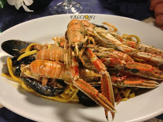 Falcioni