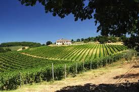 Tenuta Santa Lucia