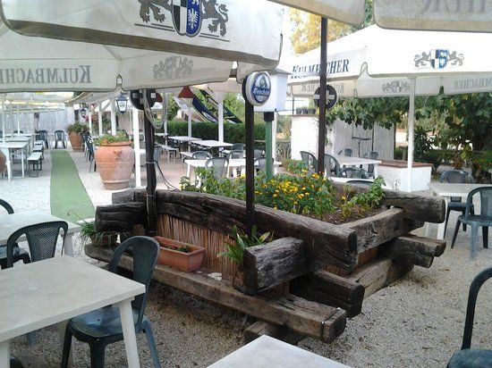 Gallo d'oro